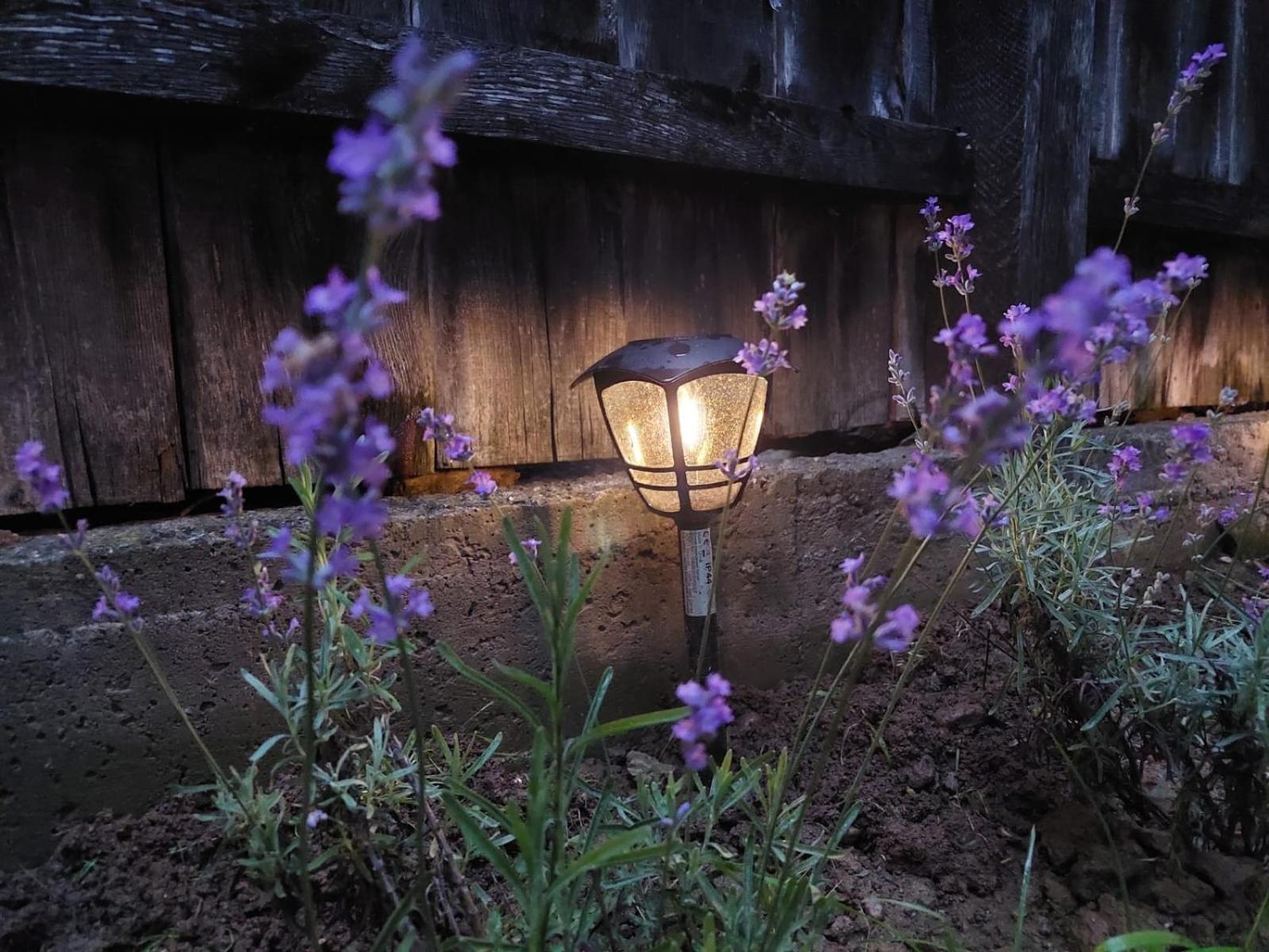 Casuta De Sub Munte Cartisoara Villa ภายนอก รูปภาพ
